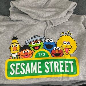 Sesame Street Gray Hoodie - NWT